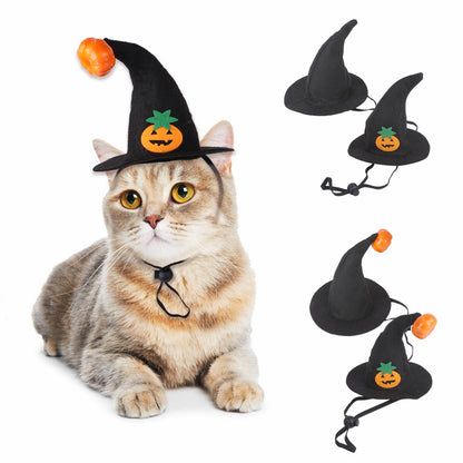 Halloween Pet Costume