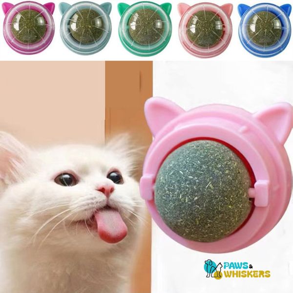 Catnip Wall Ball | Paws & Whiskers - Paws and Whiskers