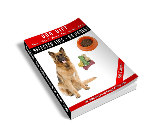 Dog Diet - Nourish and Thrive Together - Paws and Whiskers