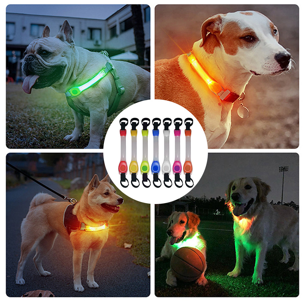 Dog Anti-lost Warning led collar