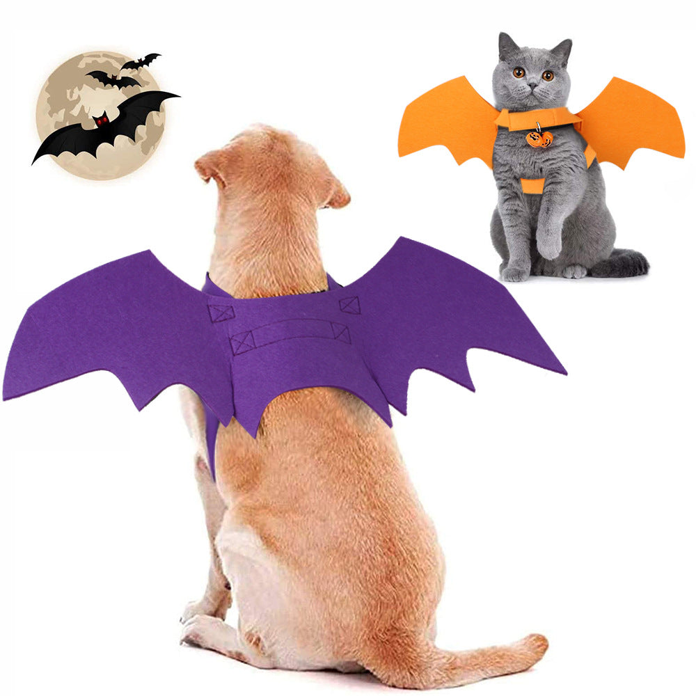 Halloween Pet Costume