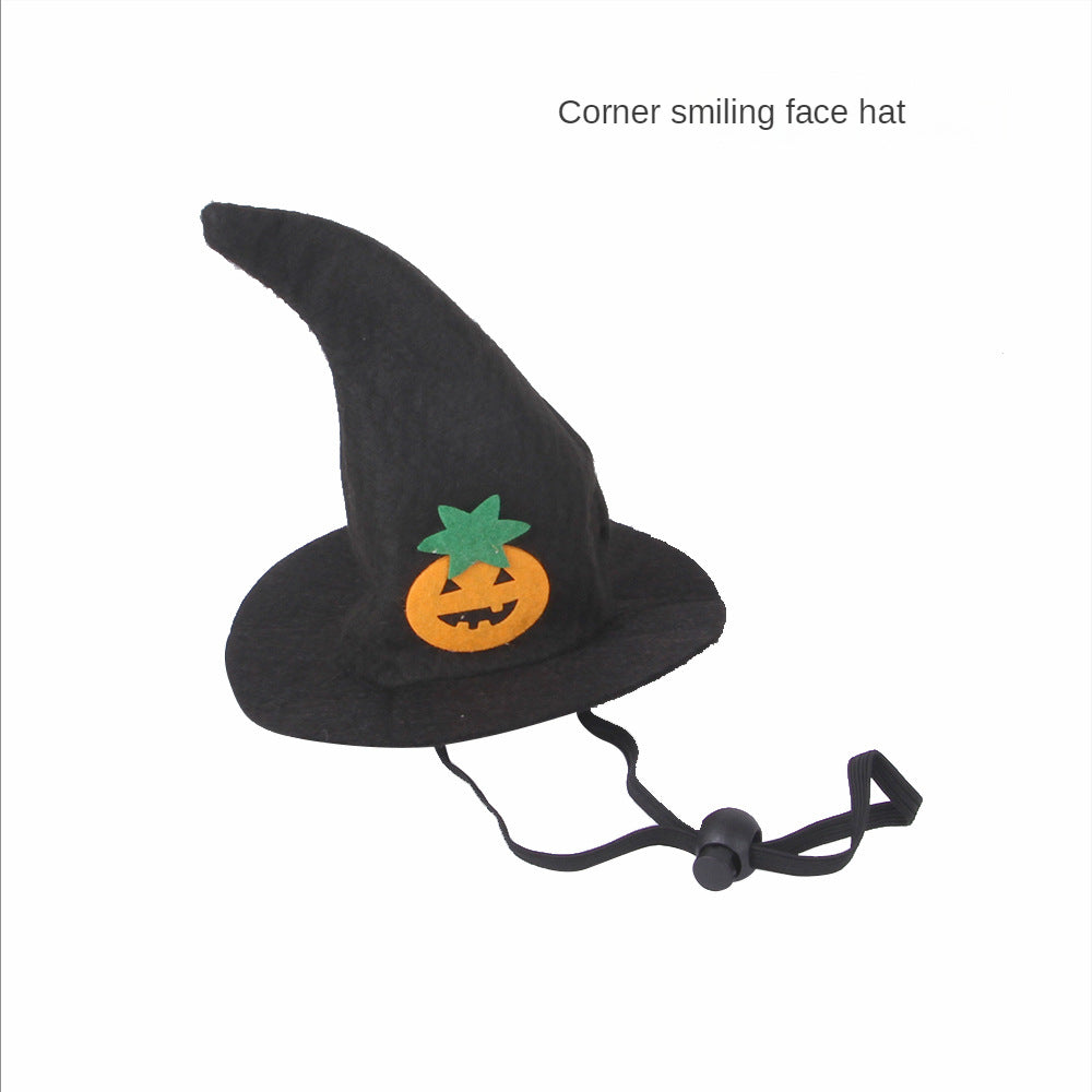 Halloween Pet Costume