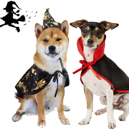 Halloween Pet Costume