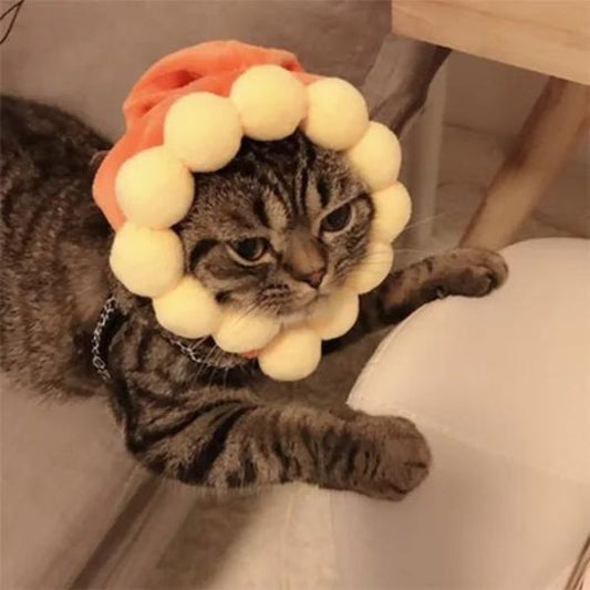 Cat hat cosplay decoration