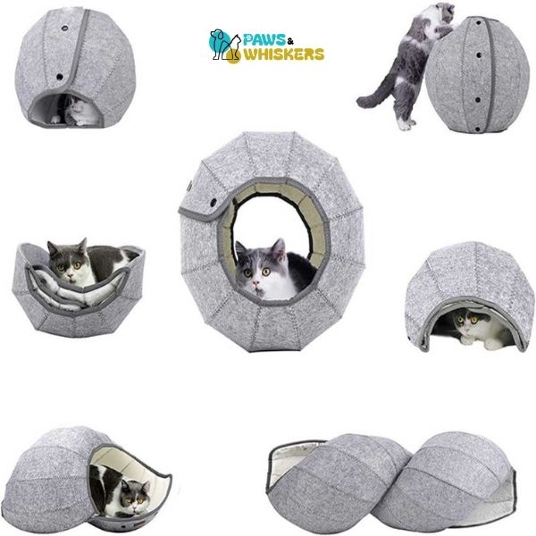 Cat Multi Shape Tunnel - Paws and Whiskers