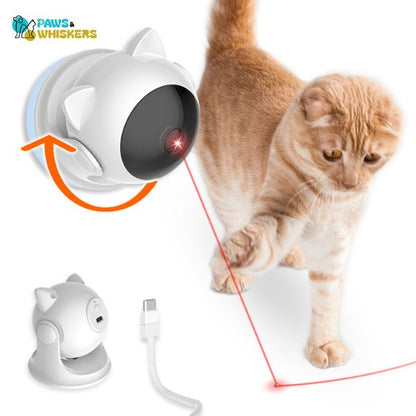 Cat Laser Toy | Paws & Whiskers - Paws and Whiskers