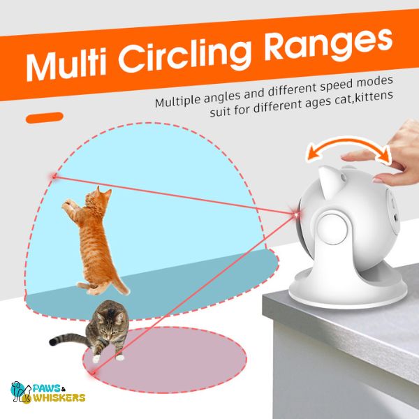 Cat Laser Toy | Paws & Whiskers - Paws and Whiskers