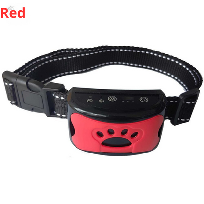 Dog burk collar