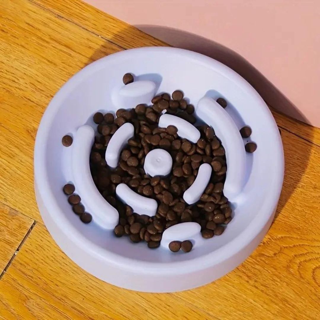 Slow Feeder Plastic Pet Bowl Anti-choking