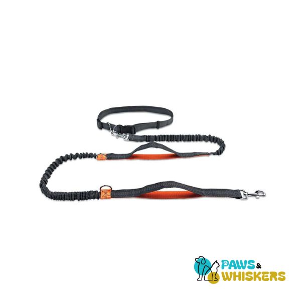 Dog Leash for Easy Daily Run - Paws and Whiskers