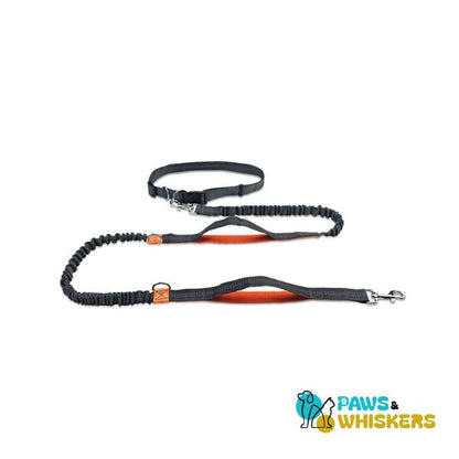 Dog Leash for Easy Daily Run - Paws and Whiskers