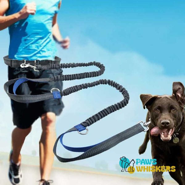 Dog Leash for Easy Daily Run - Paws and Whiskers