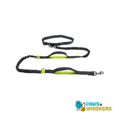 Dog Leash for Easy Daily Run - Paws and Whiskers