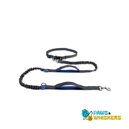 Dog Leash for Easy Daily Run - Paws and Whiskers