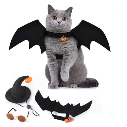 Halloween Pet Costume