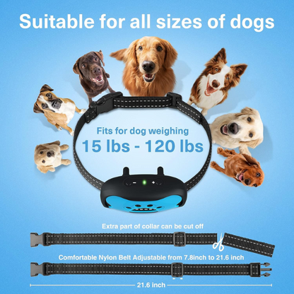 Dog burk collar