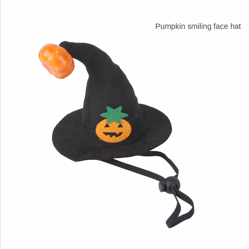 Halloween Pet Costume