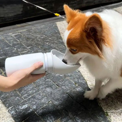 Folding water bottle