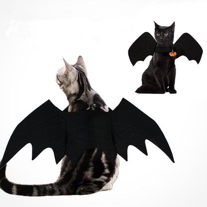 Halloween Pet Costume